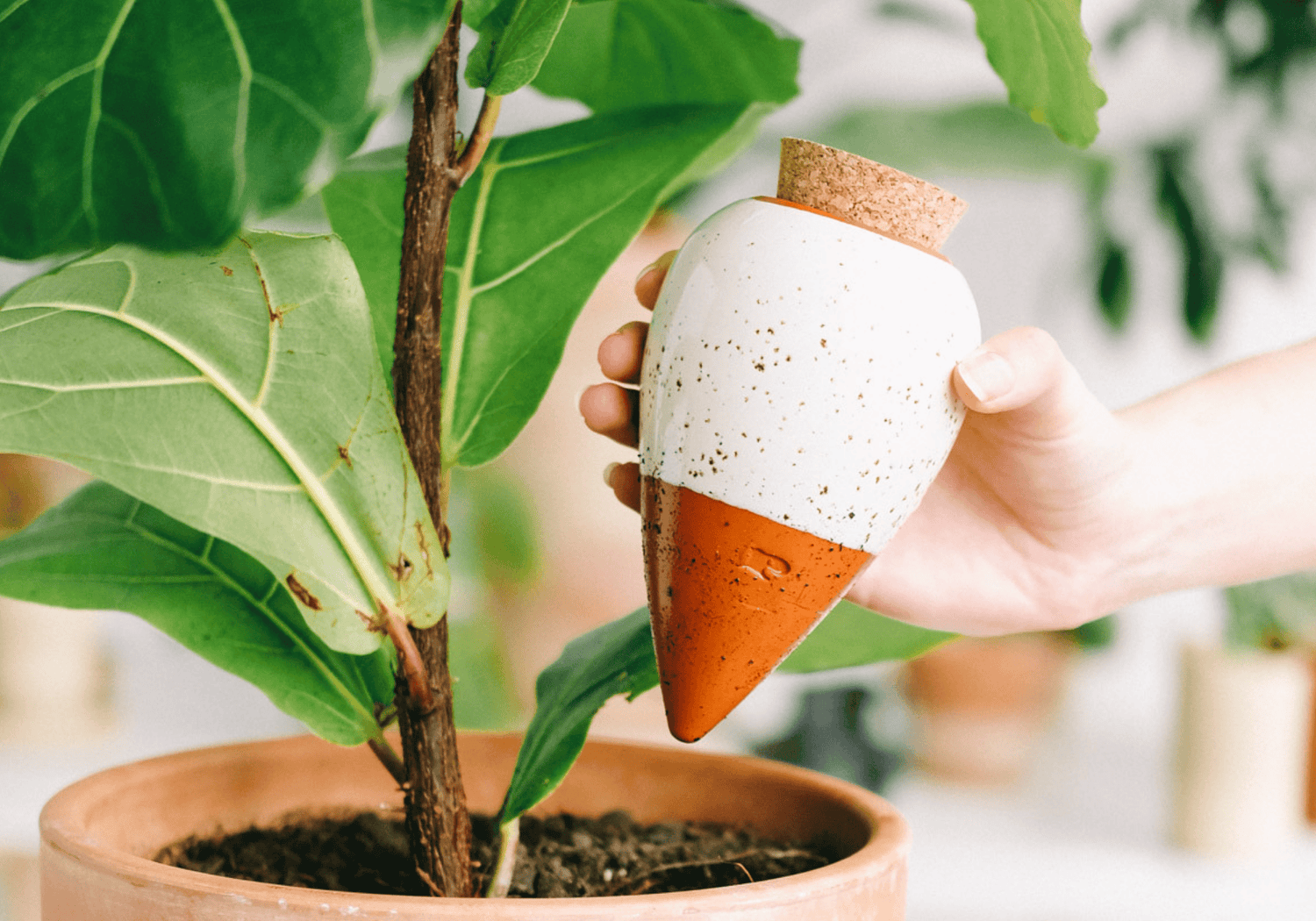Oya en terre cuite : le secret d’un arrosage autonome pour vos plantes d’intérieur - Lili Margaret