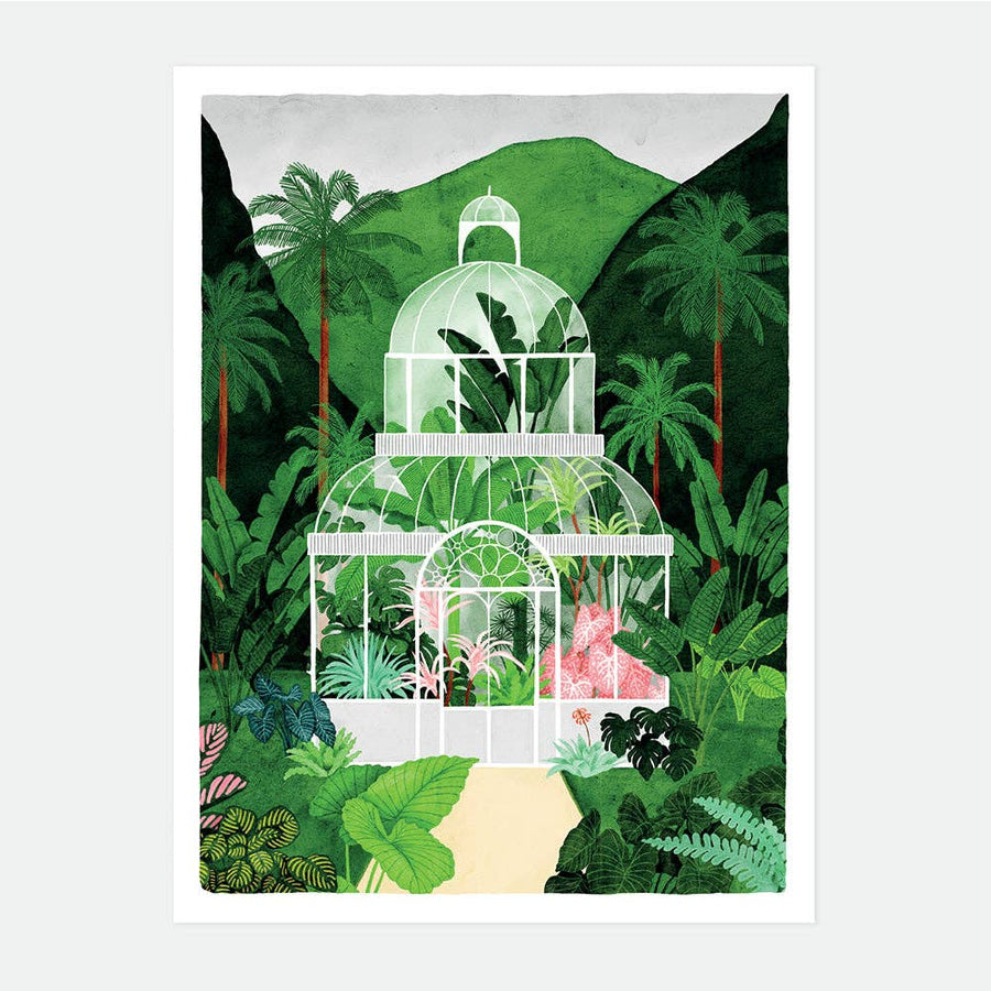 Affiche botanique serre tropicale - Poster mural plantes vertes