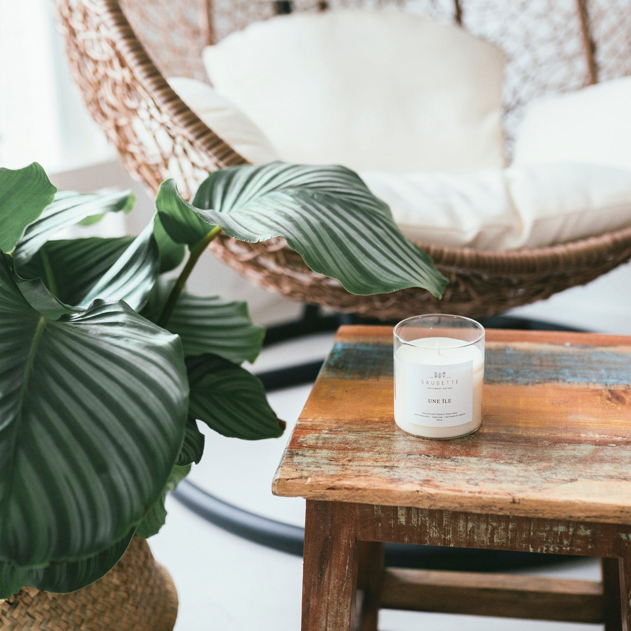 Bougie artisanale parfumée à la cire végétale - Une île