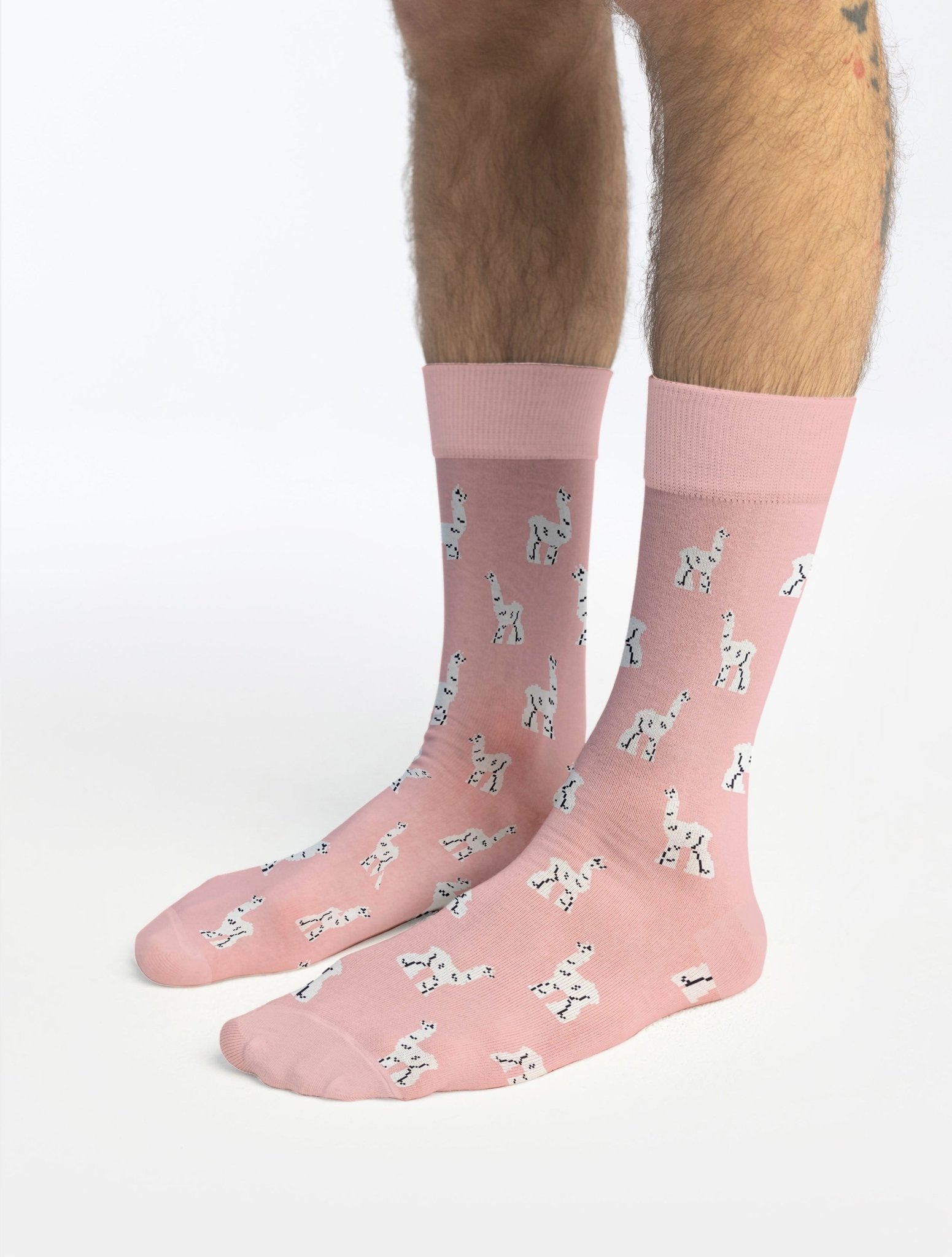 CHAUSSETTES FANTAISIE HOMME MOTIF LAMA - Sélectionnées par Lili - Lili Margaret