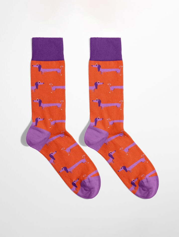 Chaussettes homme originales motif Happy Teckel en coton