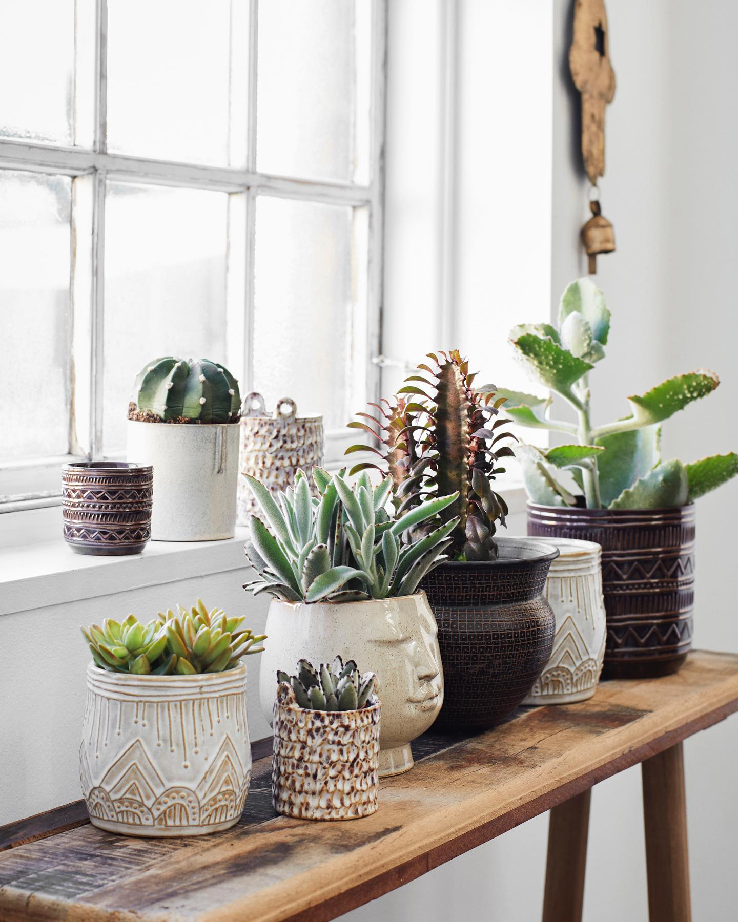 Plantes et pots artisanaux - Décoration naturelle Lili Margaret