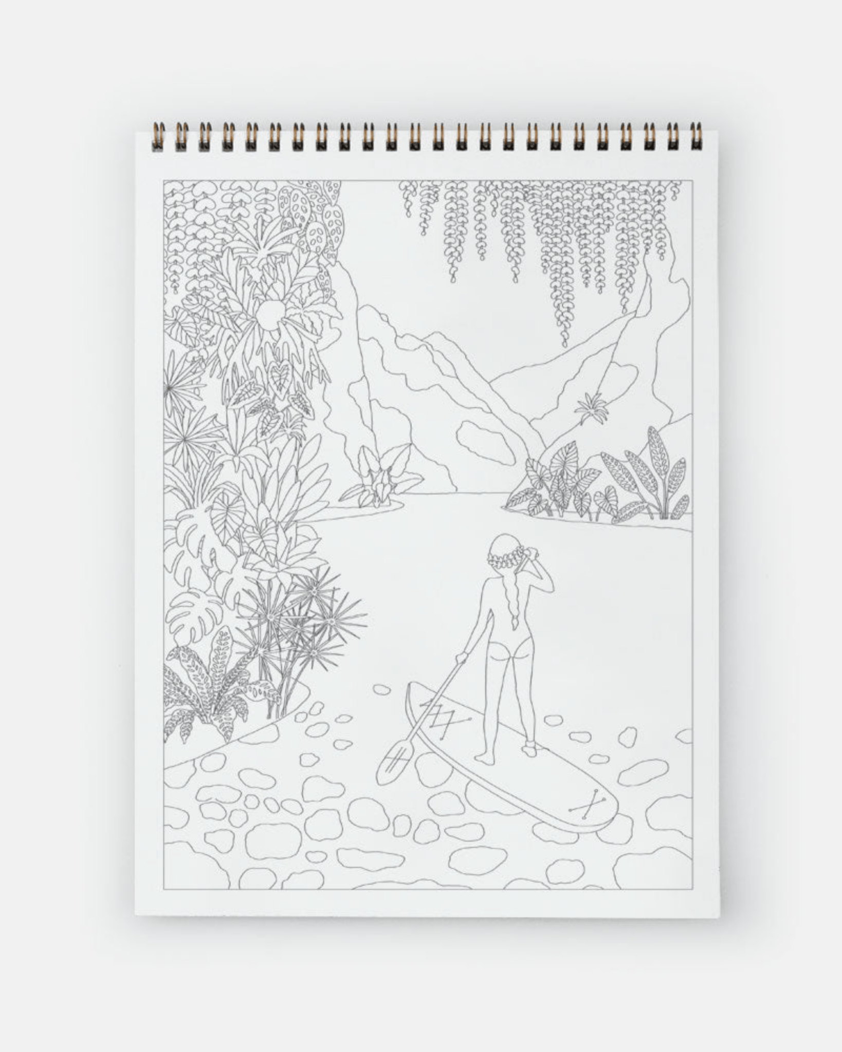 LIVRE DE COLORIAGE ADULTE – CACTUS & PLANTES VERTES all the ways to say - Lili Margaret