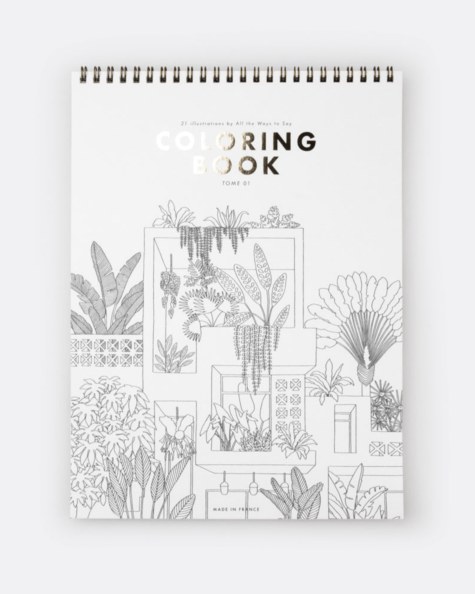 LIVRE DE COLORIAGE ADULTE – CACTUS & PLANTES VERTES all the ways to say - Lili Margaret