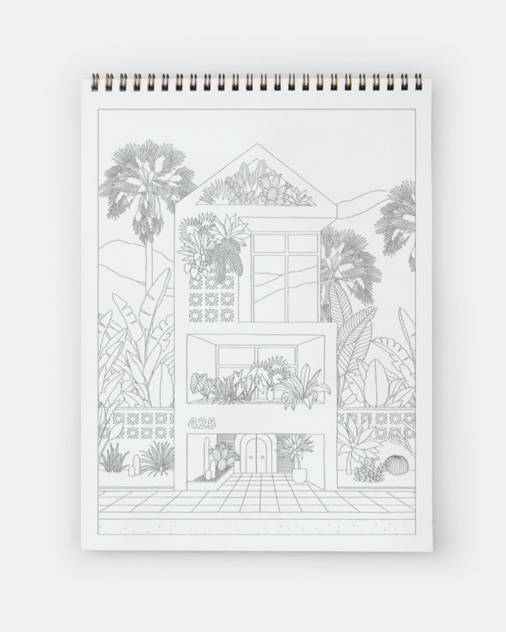 LIVRE DE COLORIAGE ADULTE – CACTUS & PLANTES VERTES all the ways to say - Lili Margaret