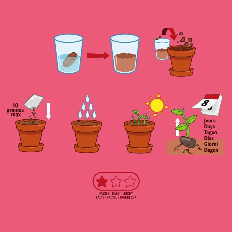 MES PETITES RADIS À FAIRE POUSSER - Radis et Capucine - Lili Margaret