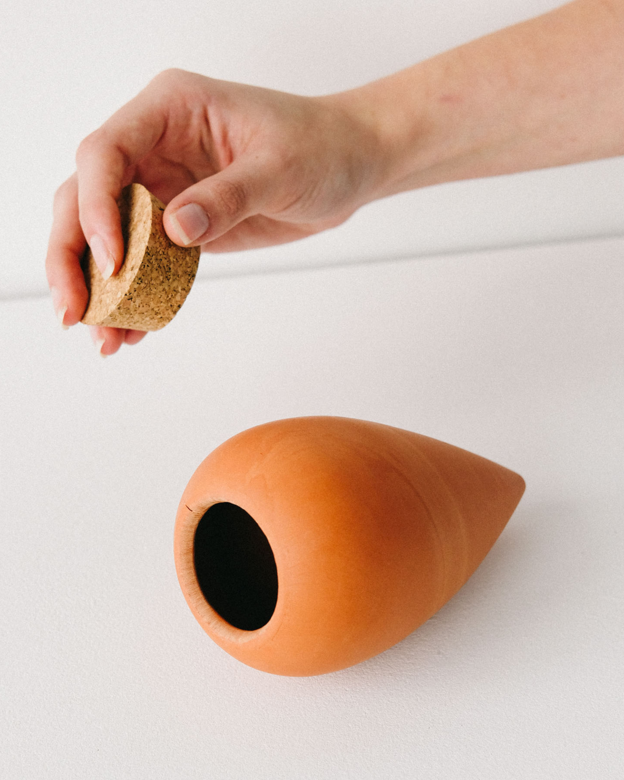Olla terre cuite terracotta pour plantes d’intérieur - pepin