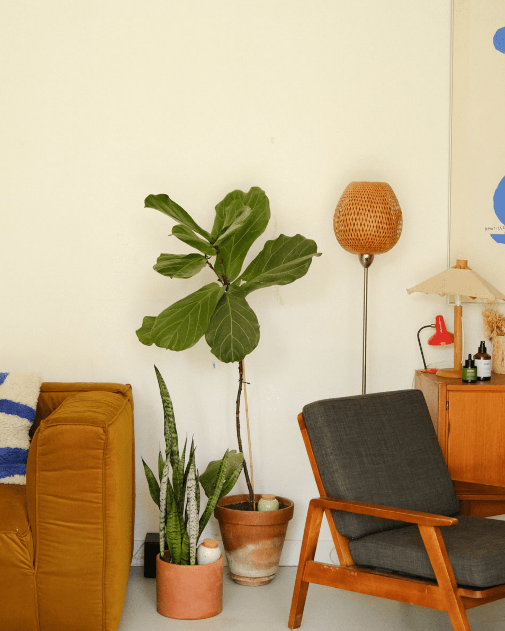 Olla léopard décorative pour plantes d’intérieur - Pepin - Lili Margaret