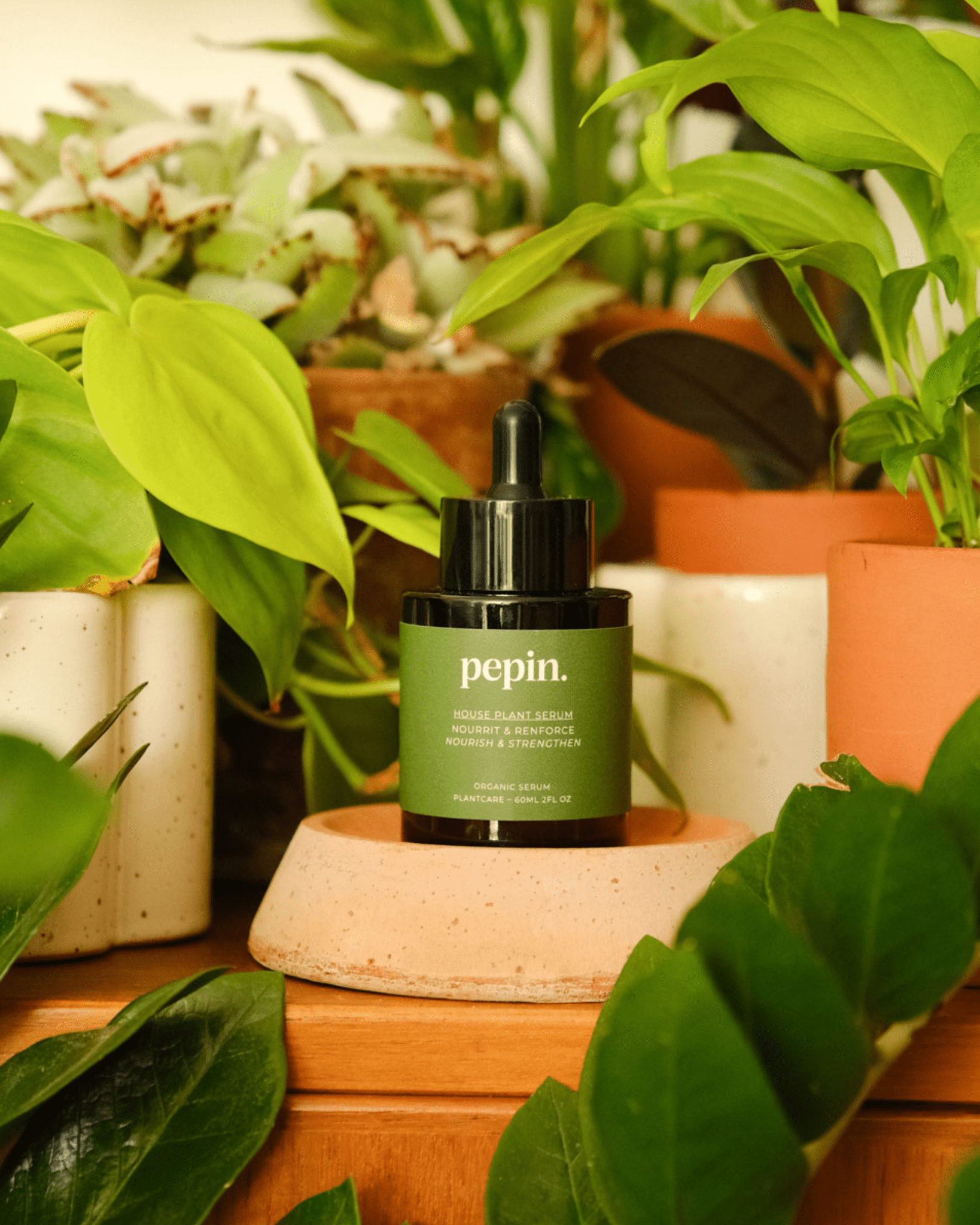 SÉRUM NOURRISSANT POUR PLANTES VERTES - Pepin - Lili Margaret