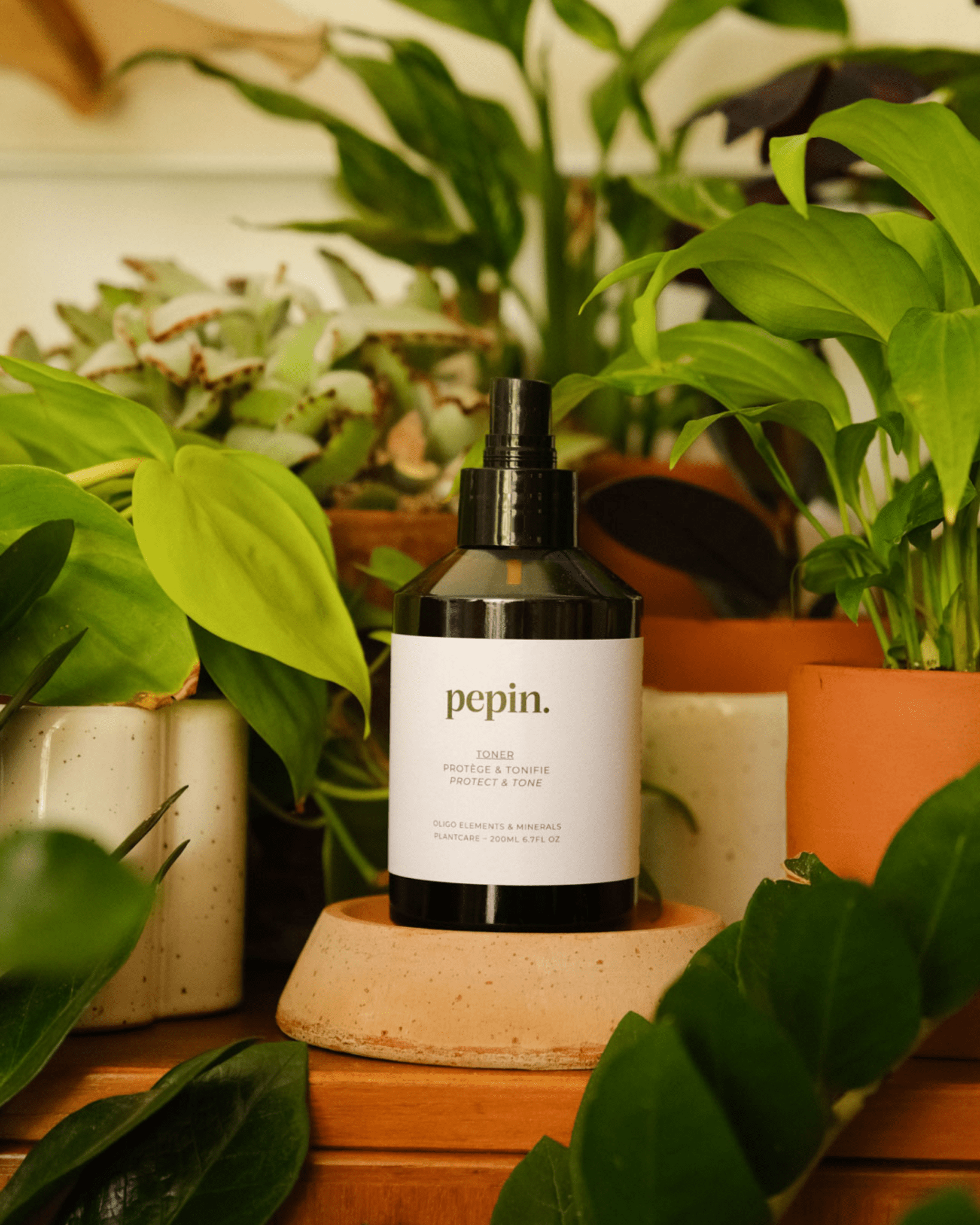 SPRAY PROTECTEUR POUR PLANTES D&