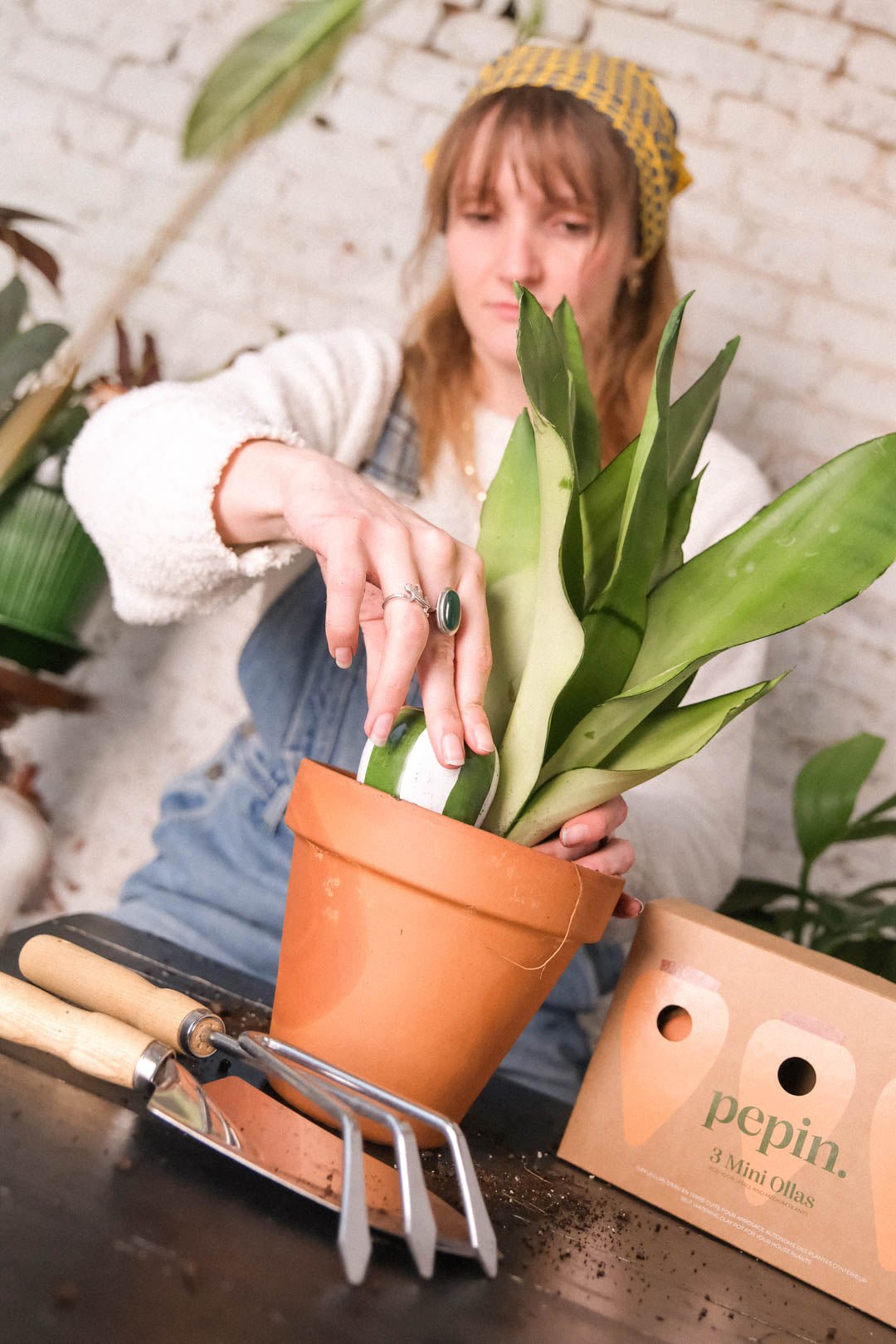 Trio mini olla rayée en terre cuite - pepin - Lili Margaret