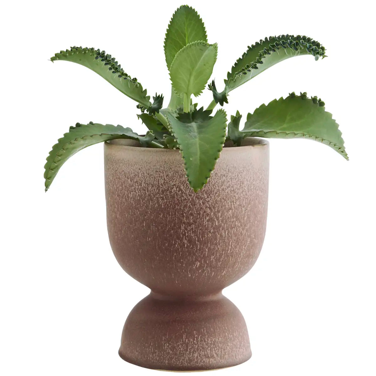 Stoneware flower pot