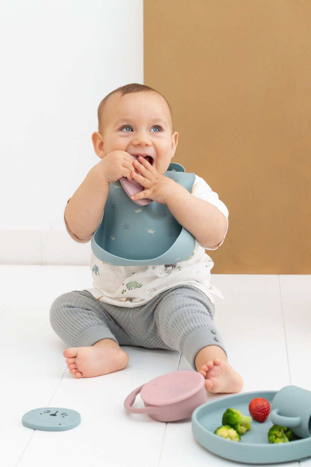Assiette ventouse silicone bébé alfie le lion - the cotton cloud