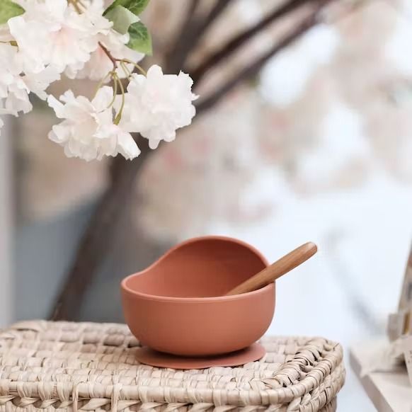 Bol et cuillère silicone argile
