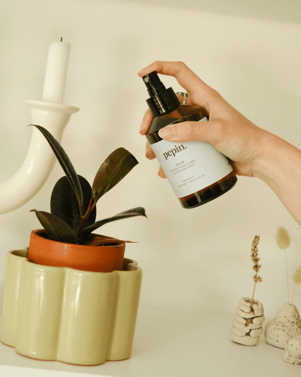 Brume nettoyante pour plantes d'intérieur - pepin