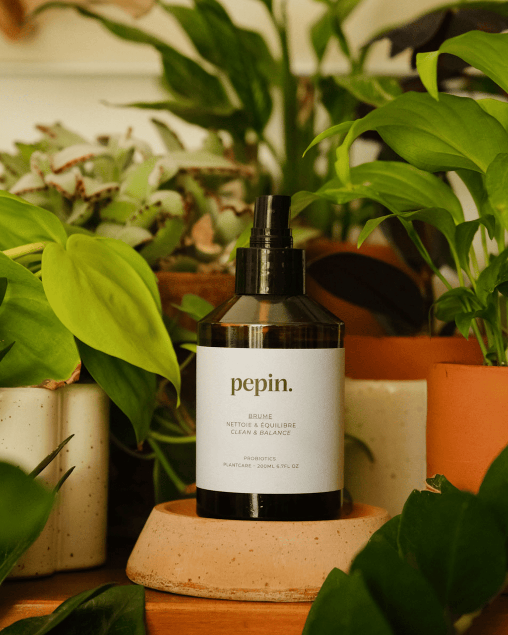 Brume nettoyante pour plantes d'intérieur - pepin