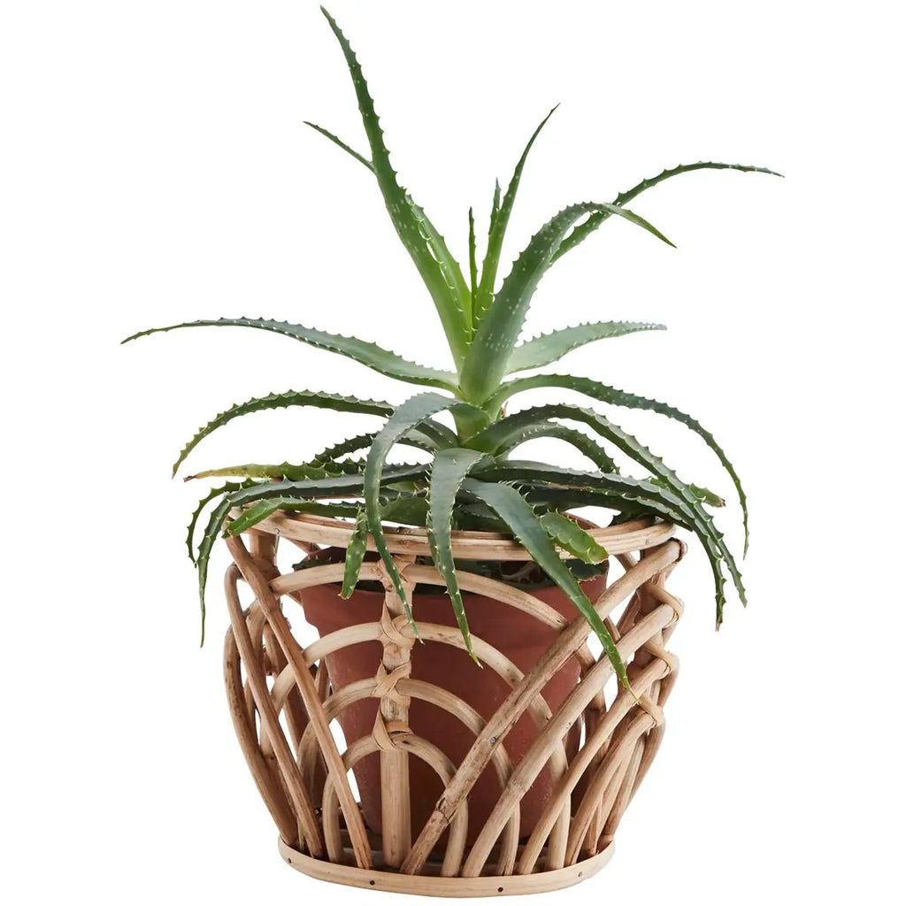 Cache - pot bambou tressé - madam stoltz