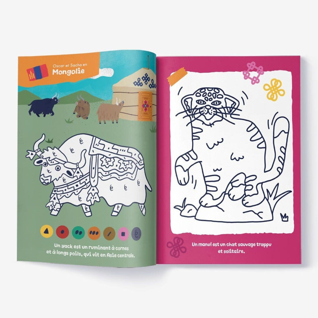 CAHIER DE COLORIAGE ENFANT LES ANIMAUX DU MONDE - Les Mini Mondes - Lili Margaret