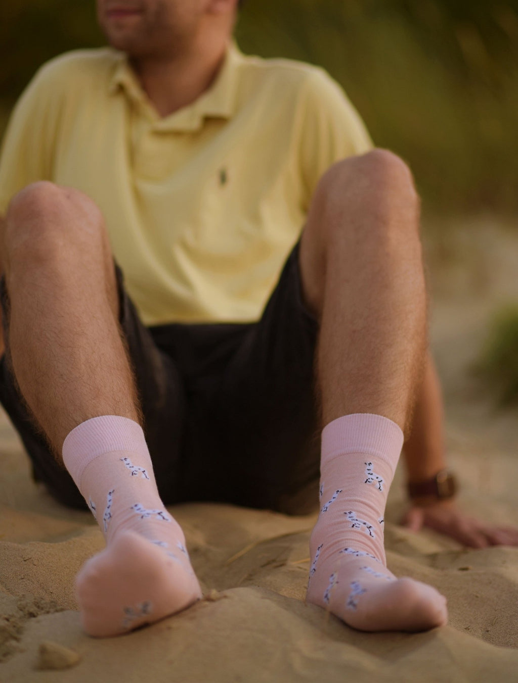 Chaussettes drôles pour homme motif lama