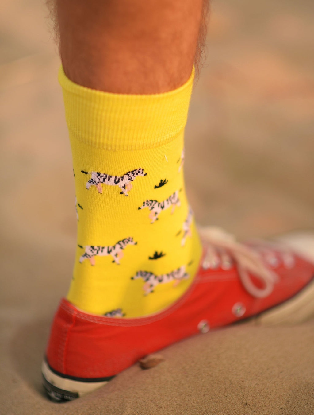 Chaussettes à motifs pour homme zèbres