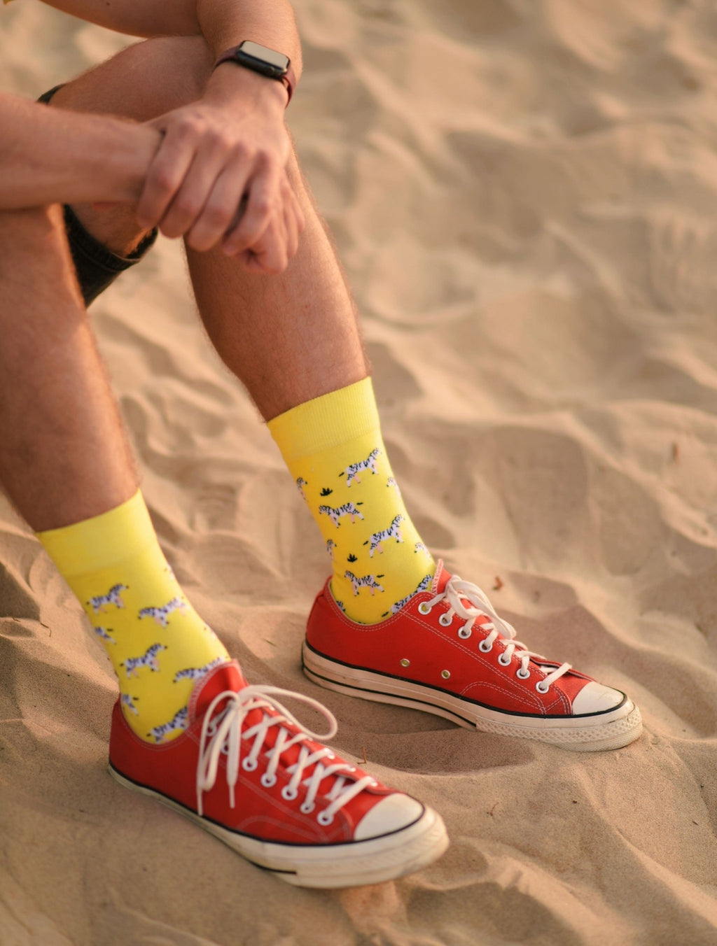 Chaussettes à motifs pour homme zèbres