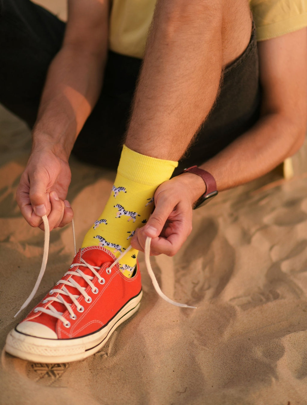Chaussettes à motifs pour homme zèbres