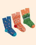 Coffret chaussettes fantaisie homme sport