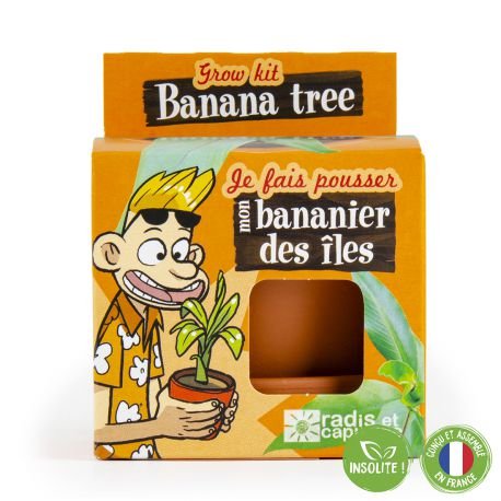 Graines de bananier à faire pousser - radis et capucine
