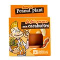 Graines de cacahuètes à faire pousser - radis et capucine