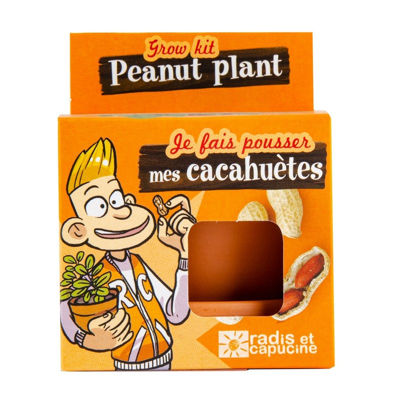 Graines de cacahuètes à faire pousser