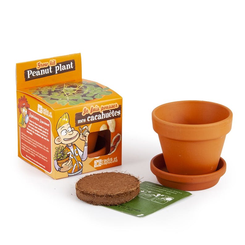Graines de cacahuètes à faire pousser - radis et capucine