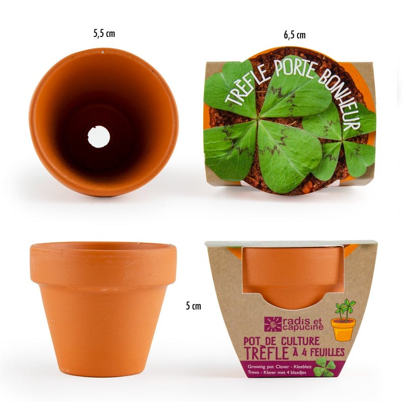 Graines de cacahuètes à faire pousser - radis et capucine