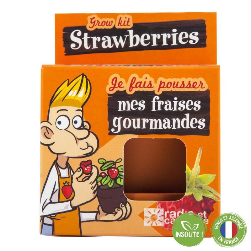 Graines de fraisier à faire pousser
