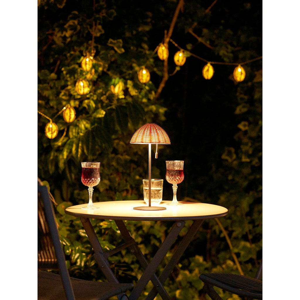 Guirlande lumineuse LED en polyrotin