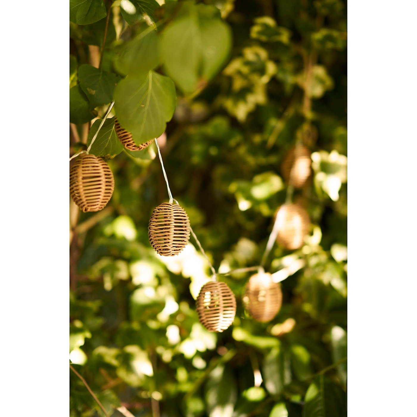 Guirlande lumineuse LED en polyrotin