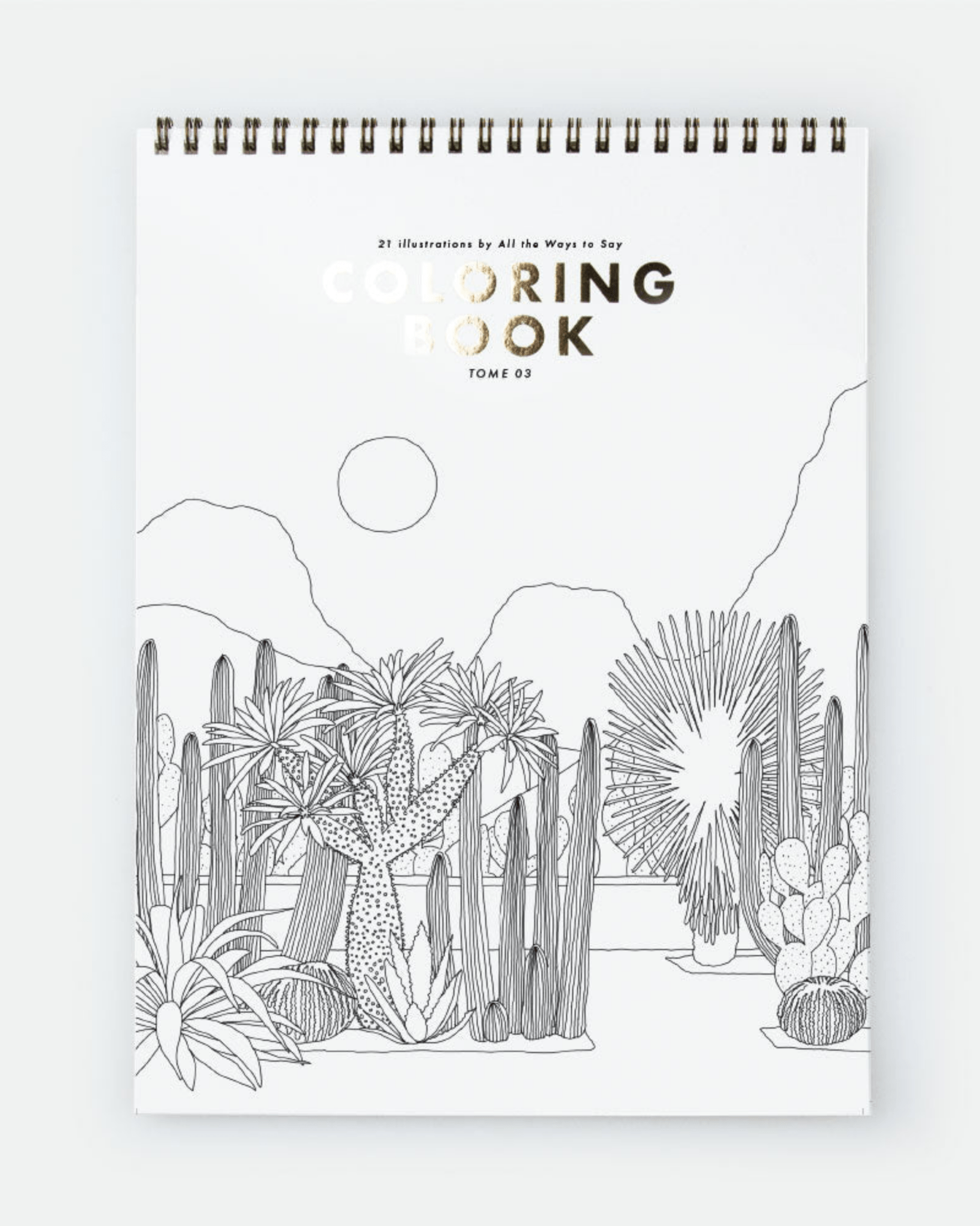LIVRE DE COLORIAGE ADULTE – 100 % DÉTENTE all the ways to say - Lili Margaret