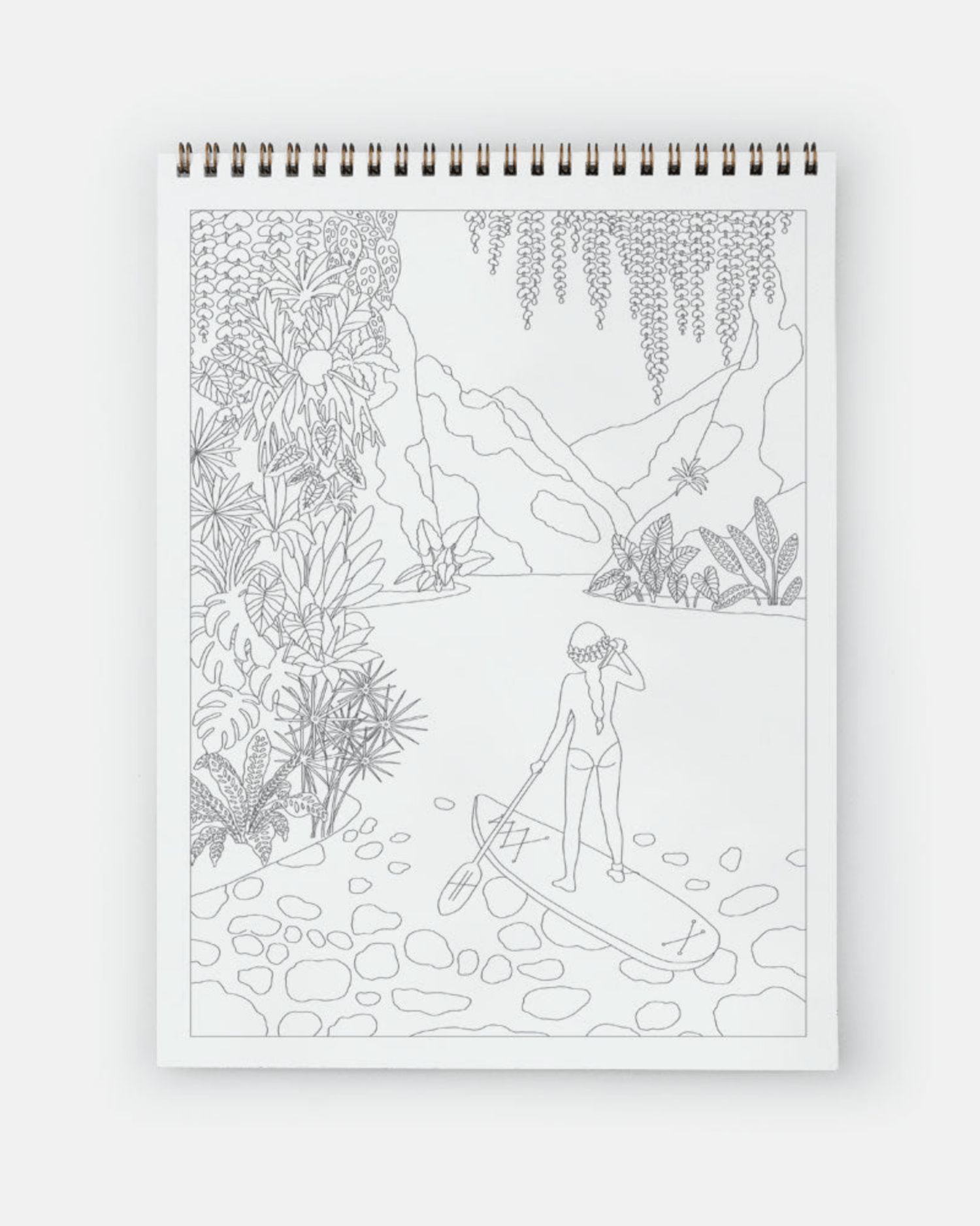 LIVRE DE COLORIAGE ADULTE – CACTUS &amp; PLANTES VERTES all the ways to say - Lili Margaret
