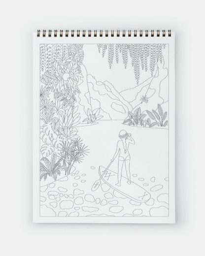 LIVRE DE COLORIAGE ADULTE – CACTUS &amp; PLANTES VERTES all the ways to say - Lili Margaret