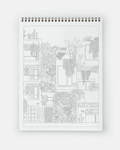 LIVRE DE COLORIAGE ADULTE – CACTUS &amp; PLANTES VERTES all the ways to say - Lili Margaret