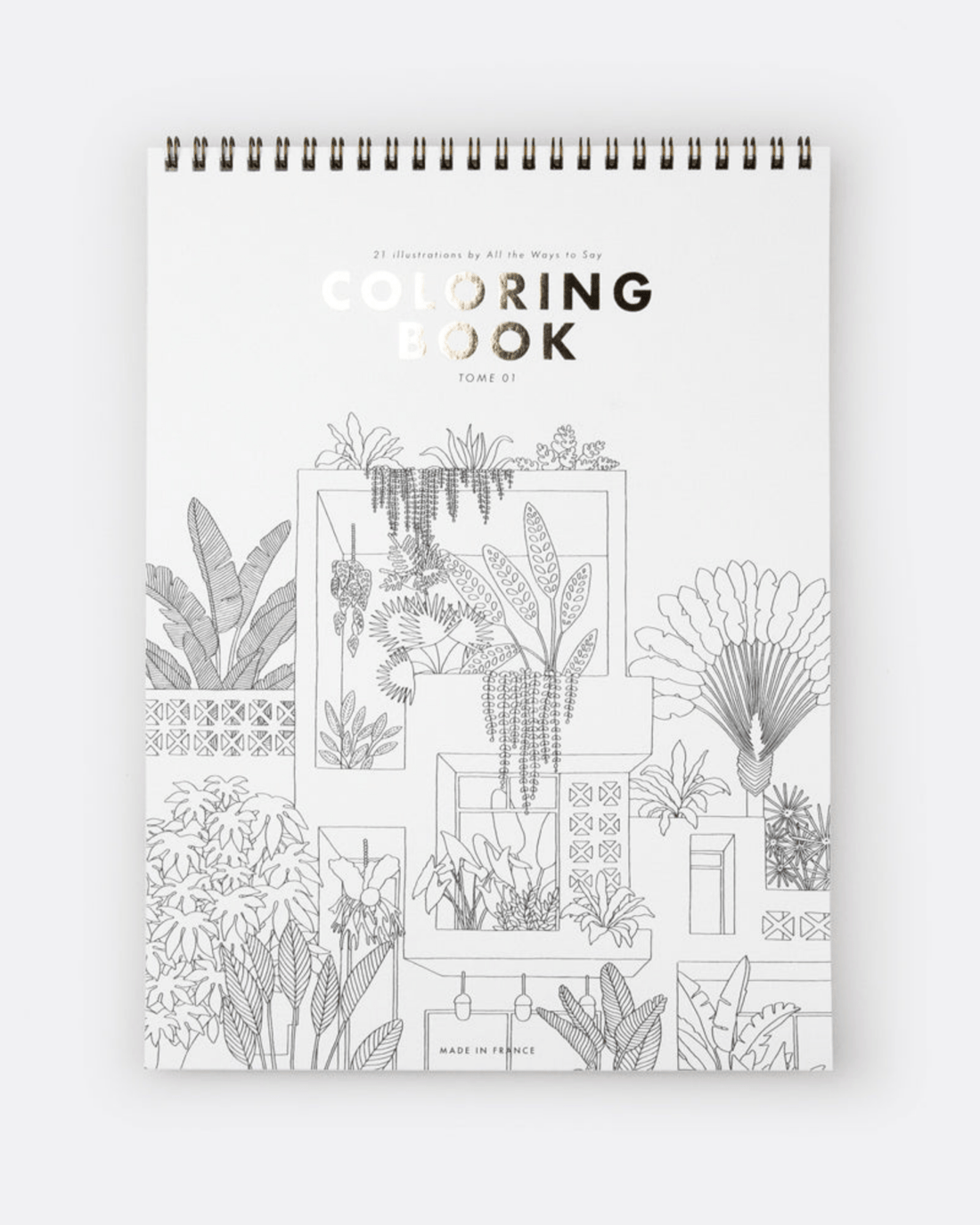 LIVRE DE COLORIAGE ADULTE – CACTUS &amp; PLANTES VERTES all the ways to say - Lili Margaret
