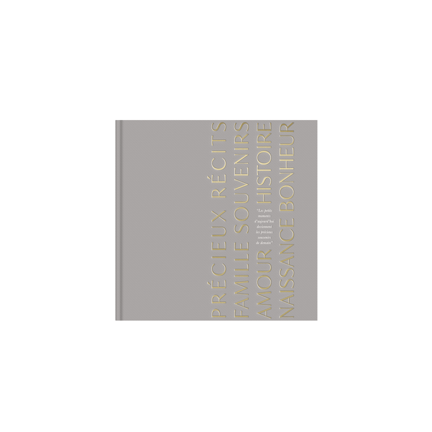 Livre de naissance "Précieux Souvenirs"