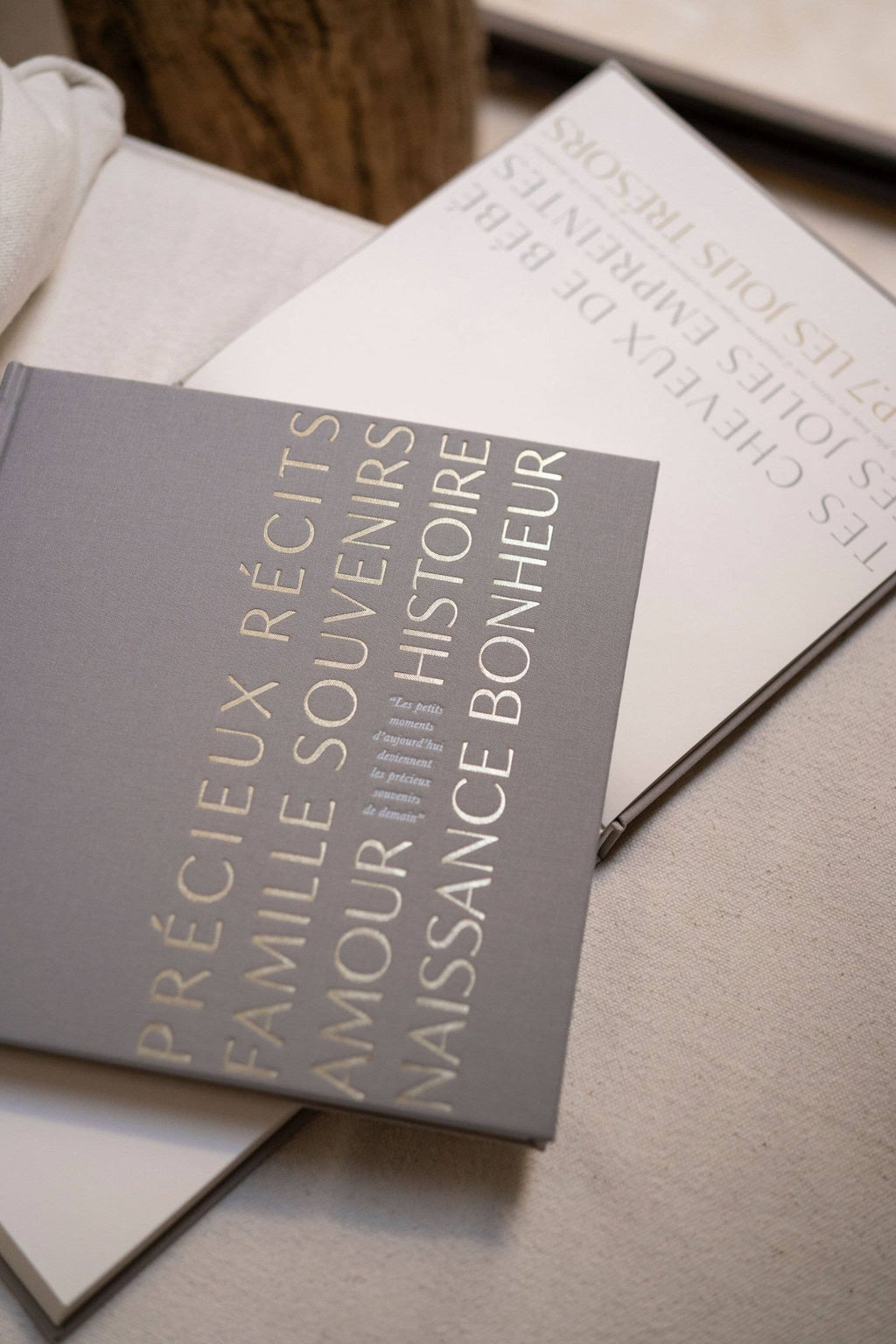 Livre de naissance "Précieux Souvenirs"