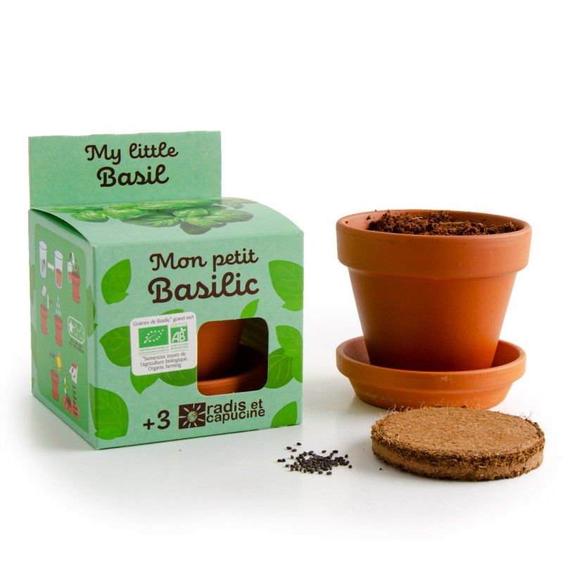 Mon petit basilic à faire pousser