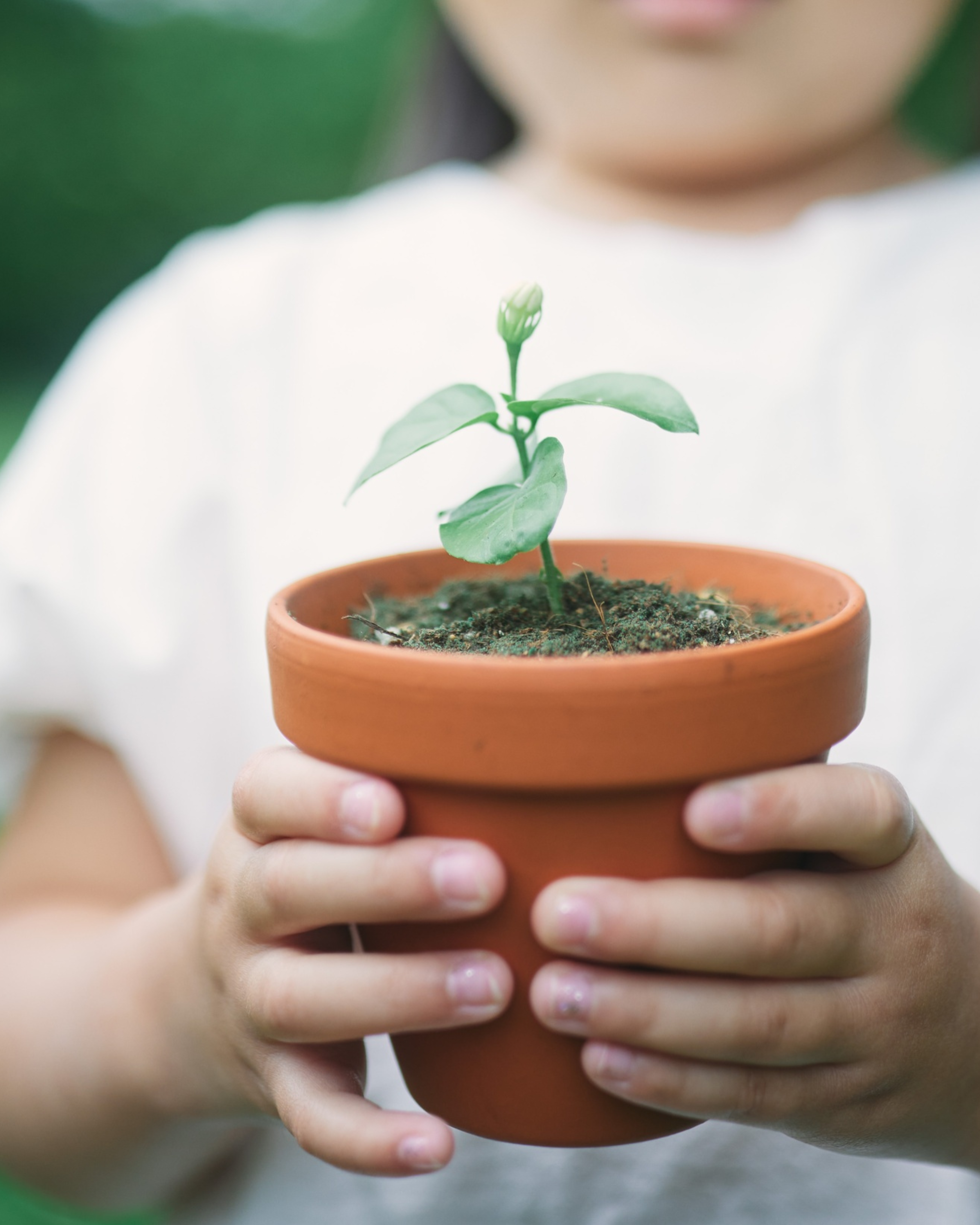 Petite fille avec une plante en pot – Lili Margaret, éthique et durabilité