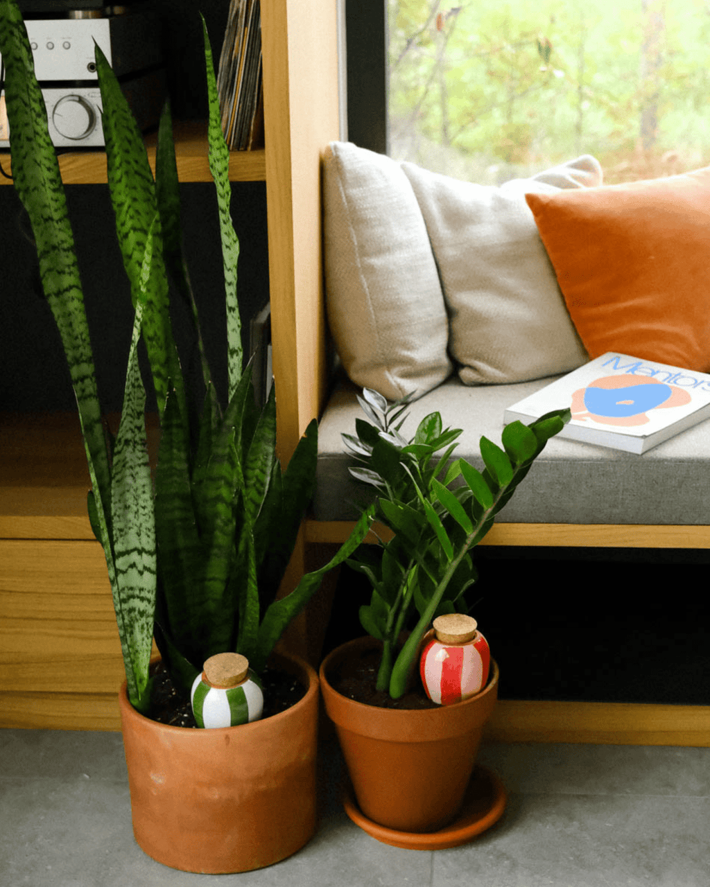 Olla arrosage rayée vert et blanc pour intérieur - pepin