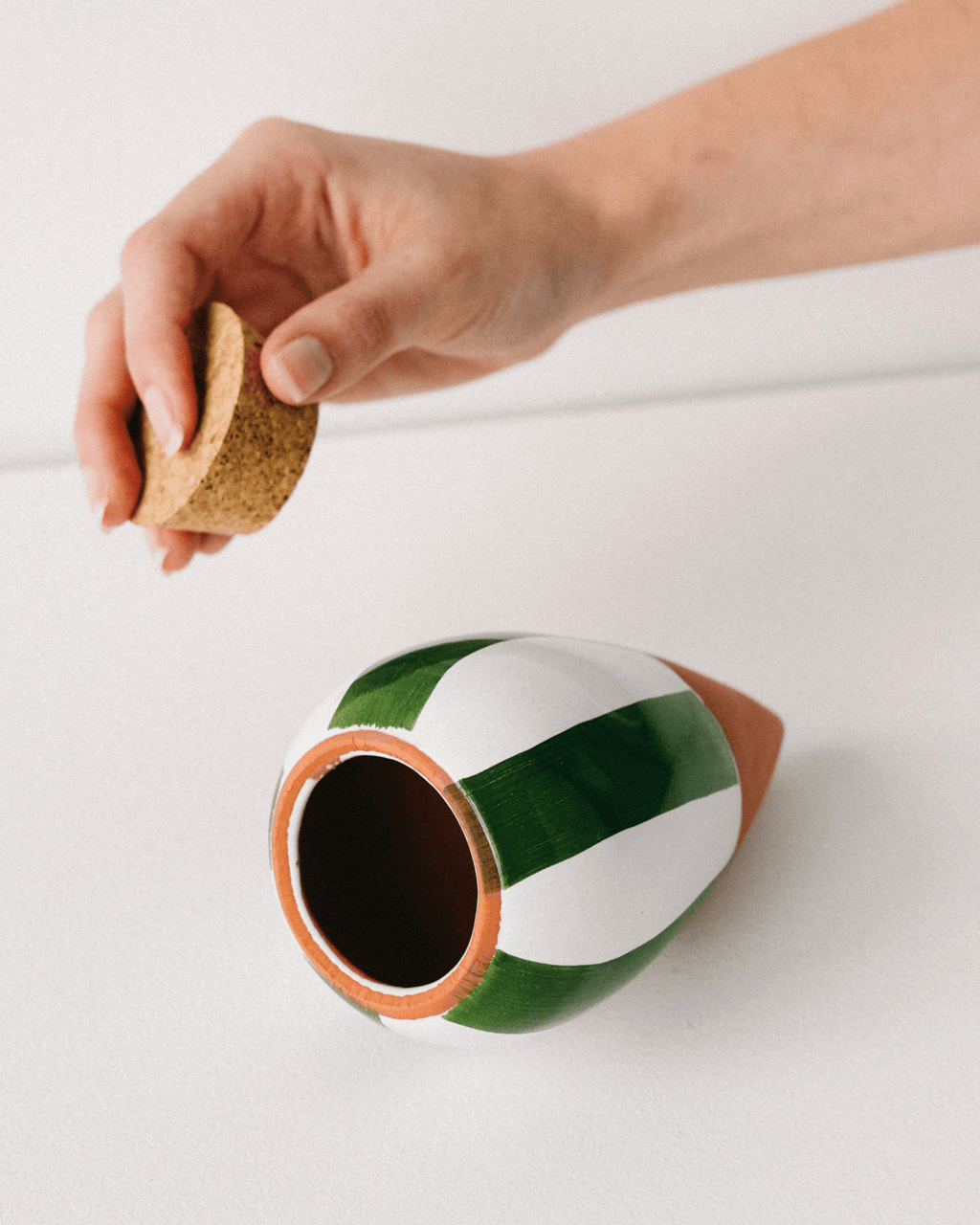 Olla arrosage rayée vert et blanc pour intérieur - pepin