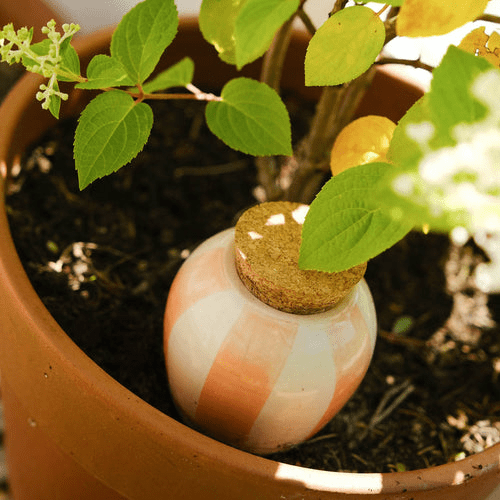 Olla hydratante rayée orange crème pour jardin intérieur - pepin
