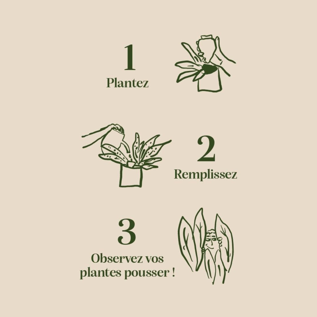 Olla hydratante rayée orange crème pour jardin intérieur - pepin