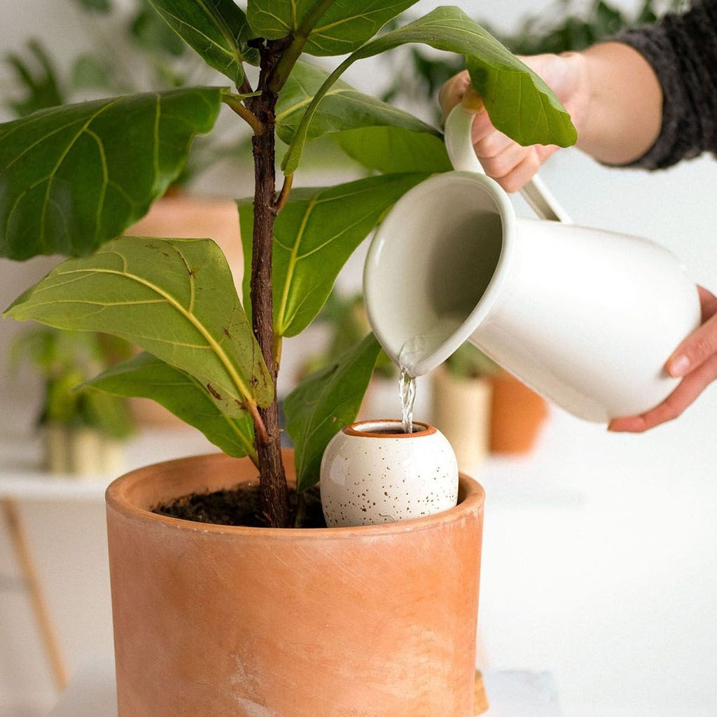 Olla hydratante rayée orange crème pour jardin intérieur - pepin