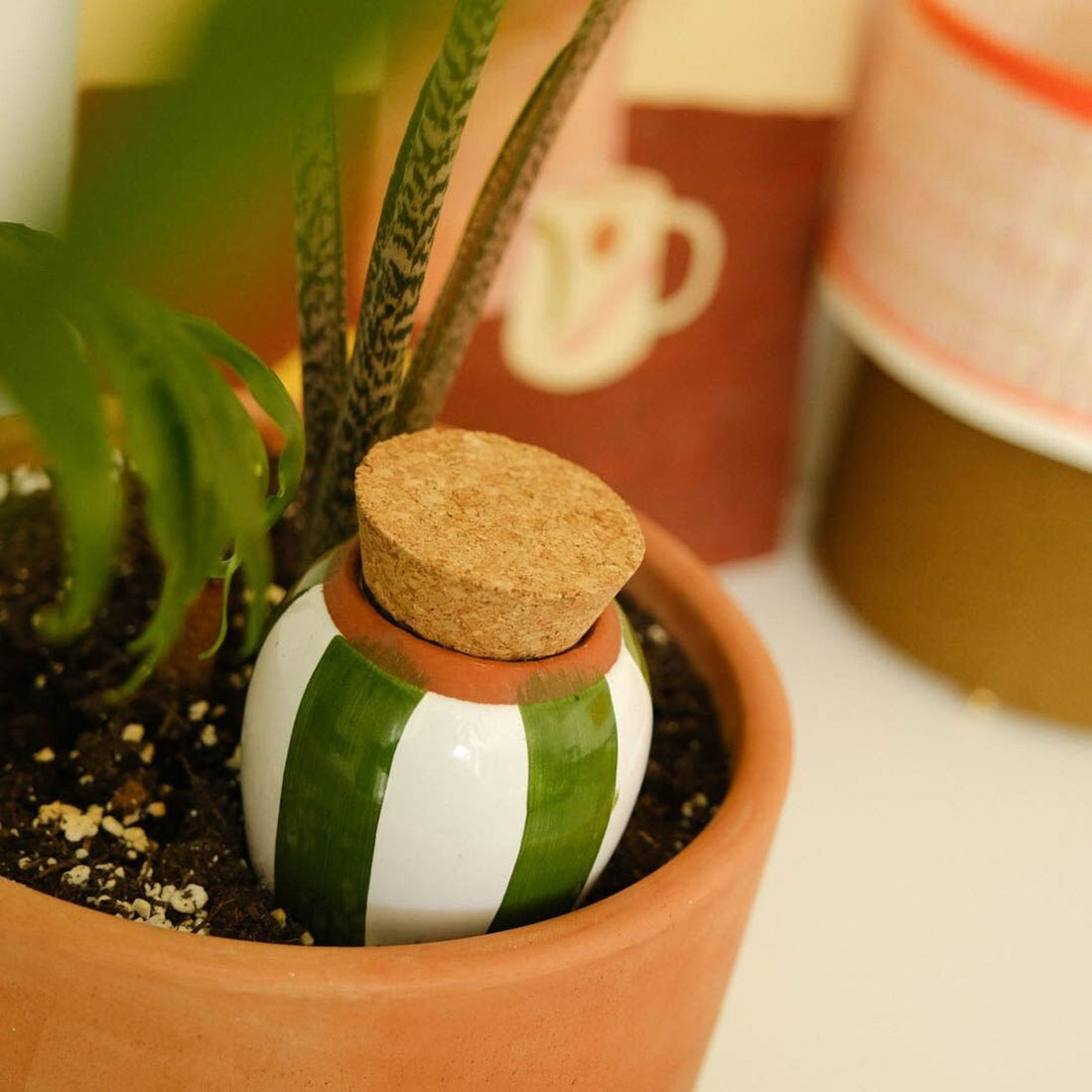 OLLA EN TERRE CUITE RAYÉE VERT ET BLANC POUR PLANTES - Pepin - Lili Margaret